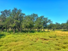 Pannell Real Estate