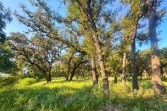 Pannell Real Estate