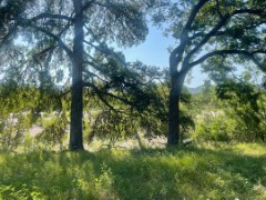 Pannell Real Estate