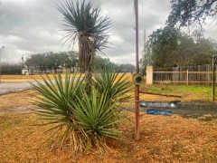 Pannell Real Estate