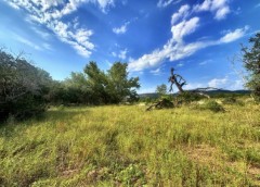 Pannell Real Estate