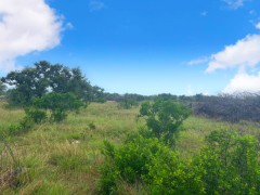 Pannell Real Estate