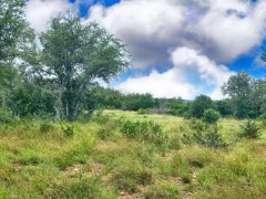 Pannell Real Estate