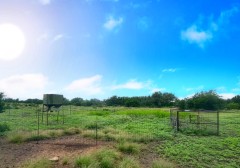 Pannell Real Estate