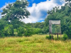 Pannell Real Estate